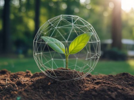 Blockchain verte : comment concilier traçabilité, transparence et développement durable en B2B